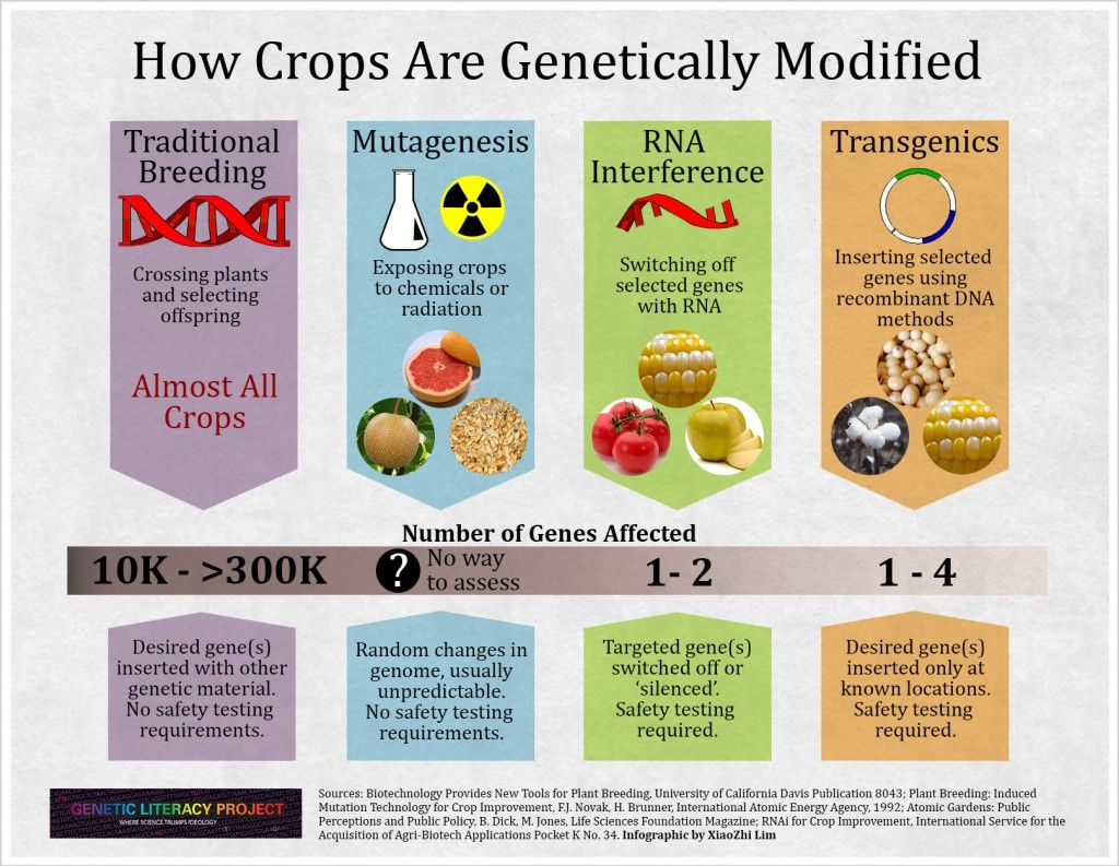 Modernize or Die: Bio-Engineered Food | Law-In-Action