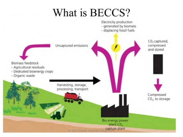 bioenergy with carbon capture and storage (BECCS) | Law-In-Action